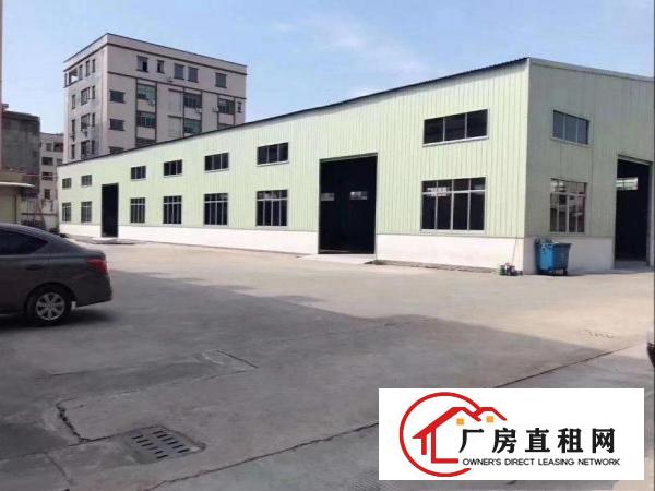  桥头镇屋厦新单一层钢构1900平方招租地理位置优越