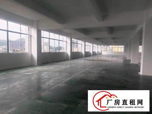  出租桥头镇屋厦(原房东独院现成环评）一楼1800平标准