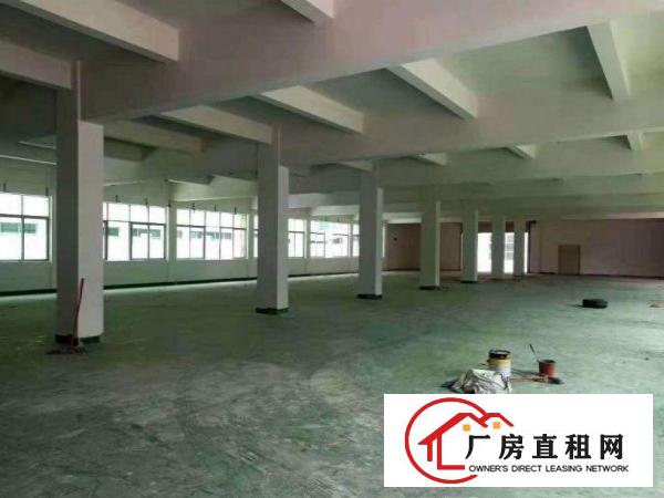  出租桥头镇屋厦(原房东独院现成环评）一楼1800平标准
