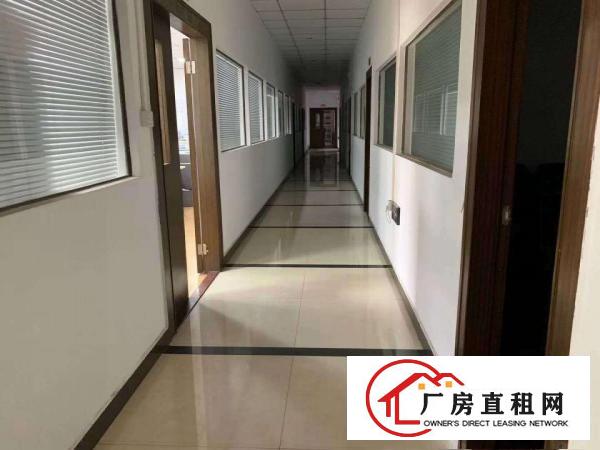  桥头镇新出楼上精装修厂房面积1500平方，现成办公室！