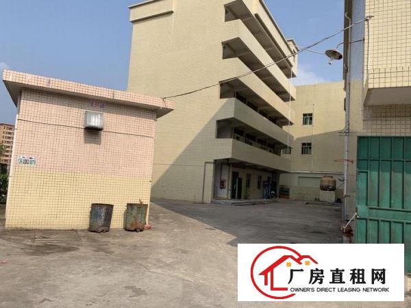  桥头大洲原房东独院价格10块！实际面积出租，合同6年