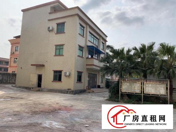  桥头大洲原房东独院价格10块！实际面积出租，合同6年