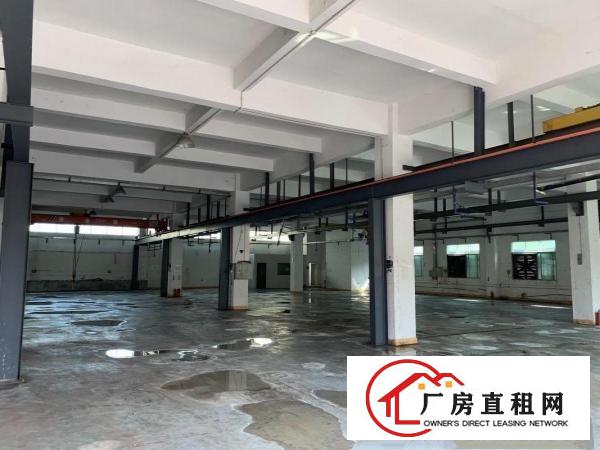  桥头大洲原房东独院价格10块！实际面积出租，合同6年