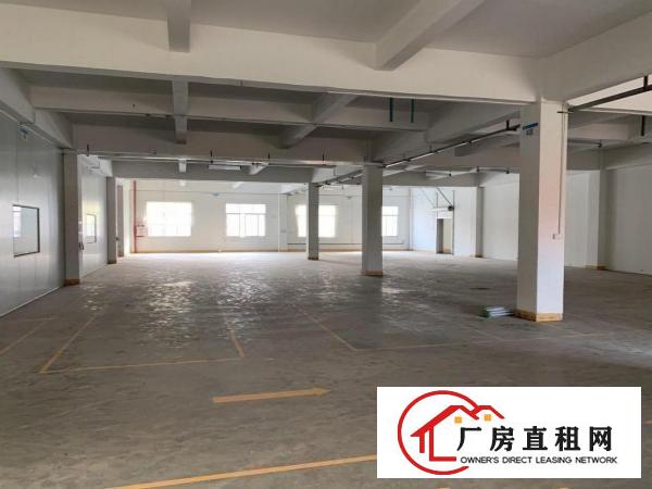  桥头大洲原房东独院价格10块！实际面积出租，合同6年