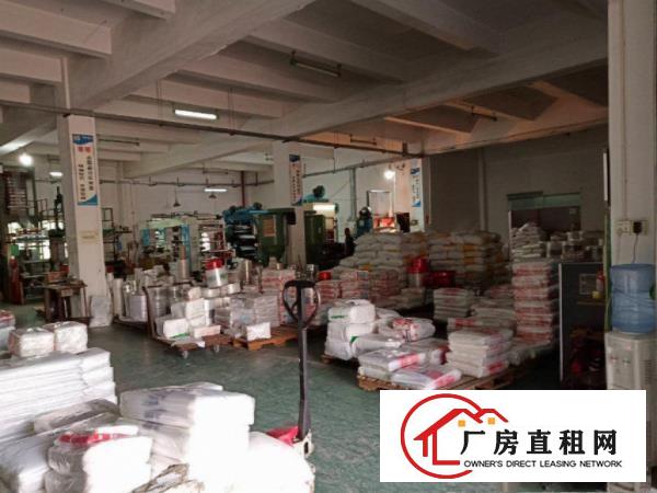  桥头镇，原房东标准700方仓库厂房，价格优惠可环评