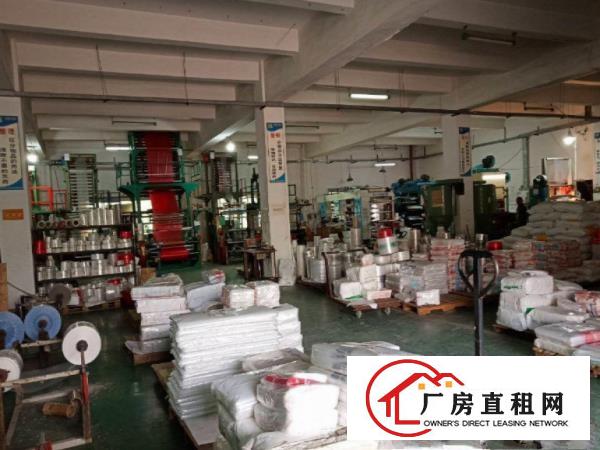  桥头镇，原房东标准700方仓库厂房，价格优惠可环评