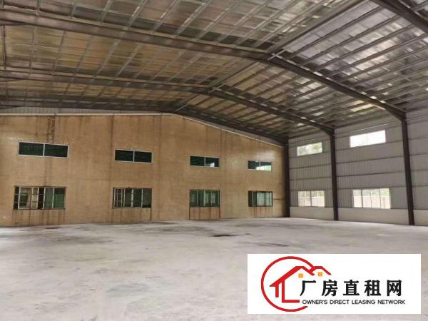  桥头新出原房东单一层钢构厂房700平方，滴水7米，有隔热层！