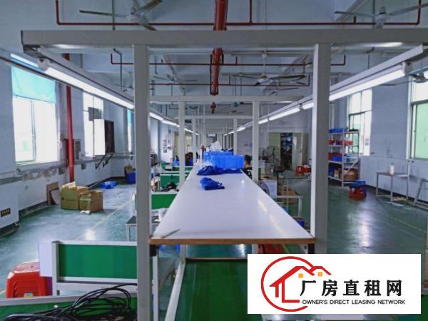  桥头，独独栋标准3000方原房东厂房，不限行业，价格优惠