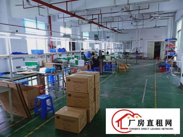  桥头，独独栋标准3000方原房东厂房，不限行业，价格优惠