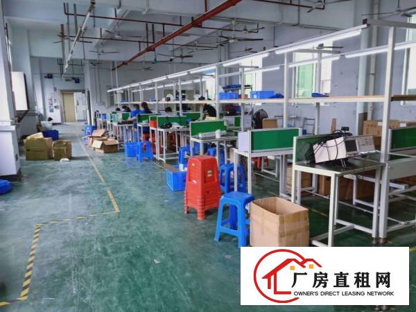  桥头，独独栋标准3000方原房东厂房，不限行业，价格优惠