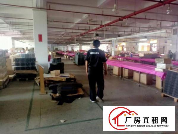  桥头镇新出标准厂房出租4000平方，周边无居民！