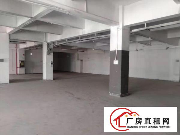  桥头屋厦村现成装修环评一楼1200平标准厂房出租