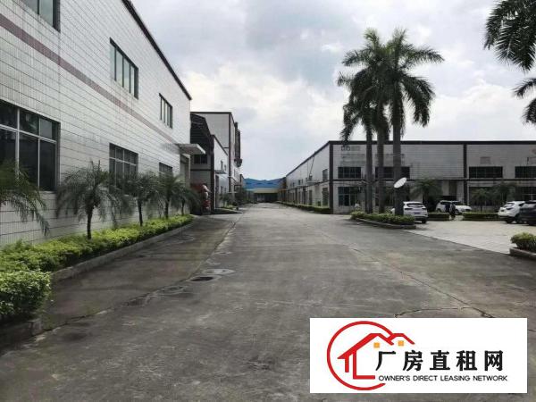  桥头石水口10米单层厂房有证