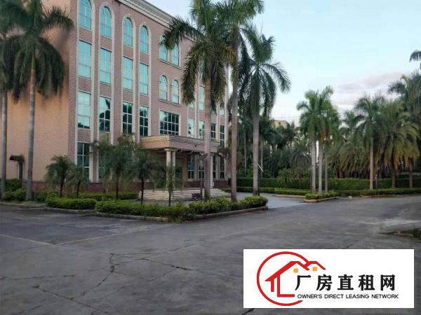  桥头石水口10米单层厂房有证