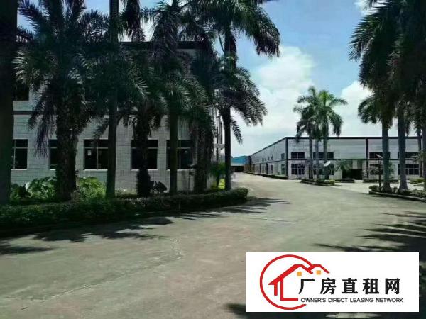  桥头石水口10米单层厂房有证