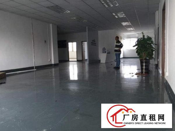 东莞桥头新出独门独院带装修标准厂房4500平方出租