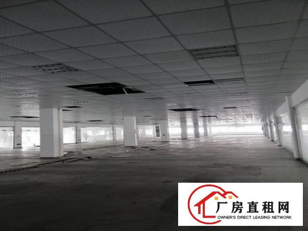  桥头标准厂房一楼分租14元，1200平面工业区内可做任何行业