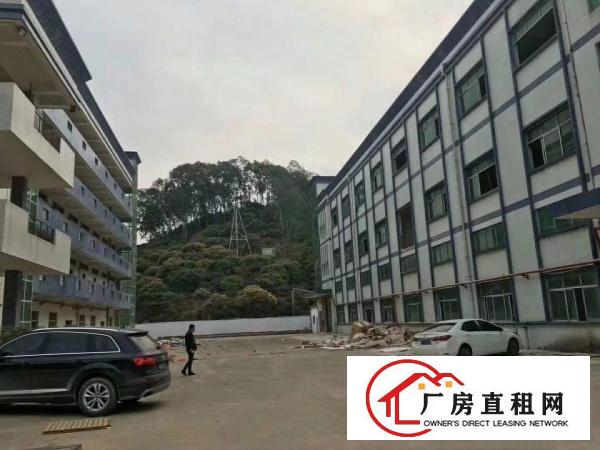  桥头镇原房东独院厂房整体出租标准厂房出租
