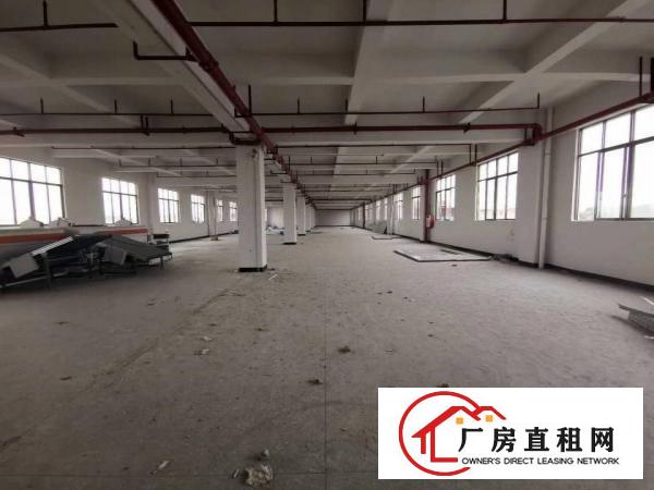  桥头镇原房东独院厂房整体出租标准厂房出租