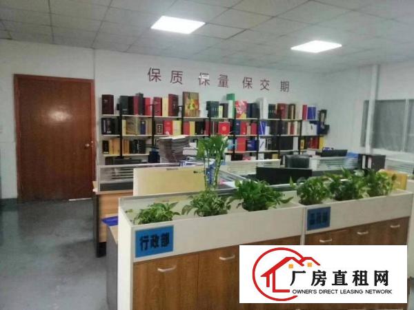  桥头镇原房东独院厂房整体出租标准厂房出租