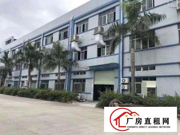  桥头镇原房东独院厂房出租3500平方租金便宜无公摊
