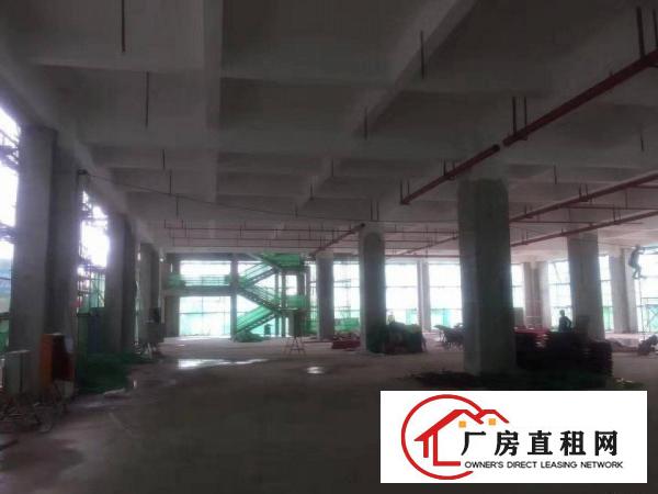  东莞东部桥头镇国有双证智造产业园100000平方米出租