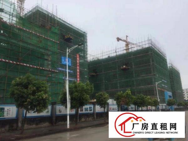  东莞东部桥头镇国有双证智造产业园100000平方米出租
