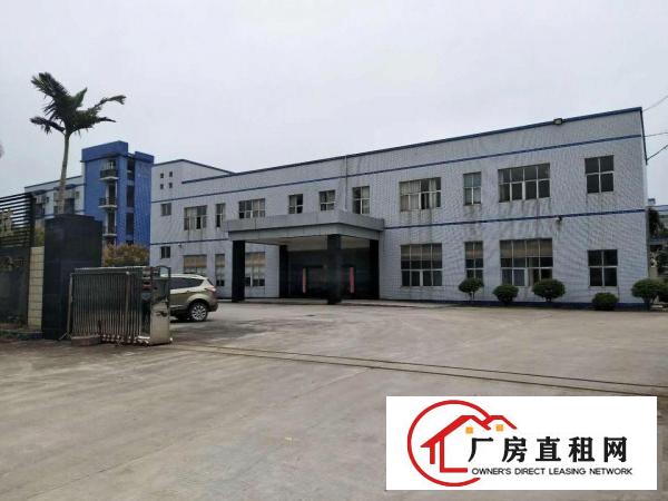  桥头镇原房东厂房出租二楼1700平方，独门独院带装修