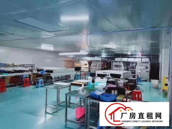  东莞桥头标准厂房无尘车间口罩厂1600平方楼上厂房出租
