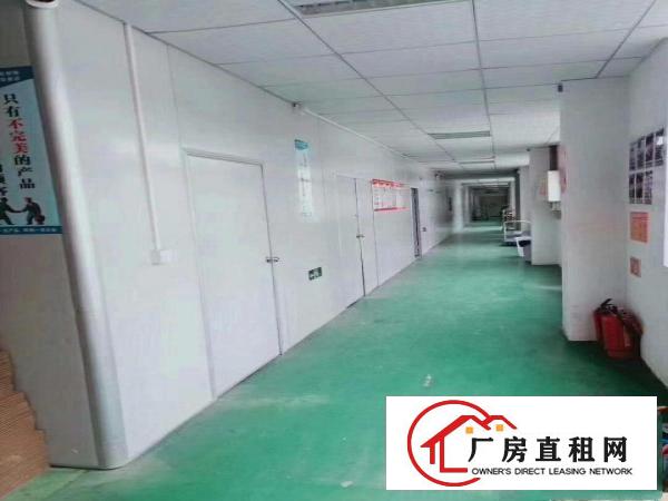  东莞桥头标准厂房无尘车间口罩厂1600平方楼上厂房出租