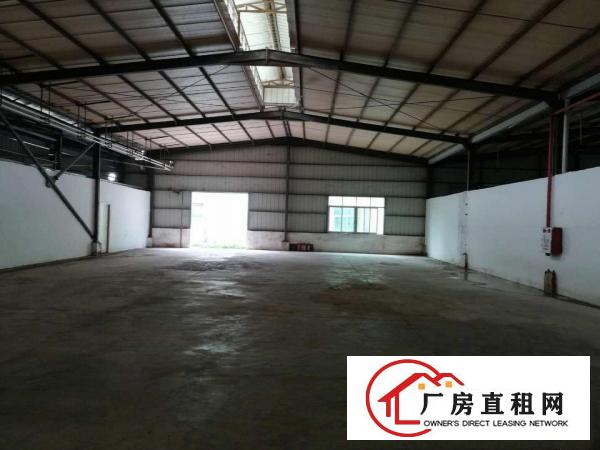  东莞桥头镇新出独门独院单一层钢结构厂房3300平方出租