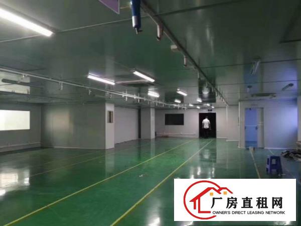  桥头朗厦工业区楼上800平方精装修厂房水电齐全交通便利原房东