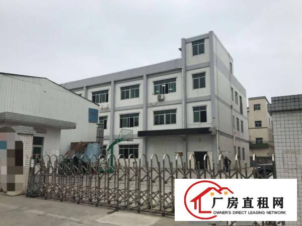 桥头迳联新出一楼1550平方，厂房现成装修