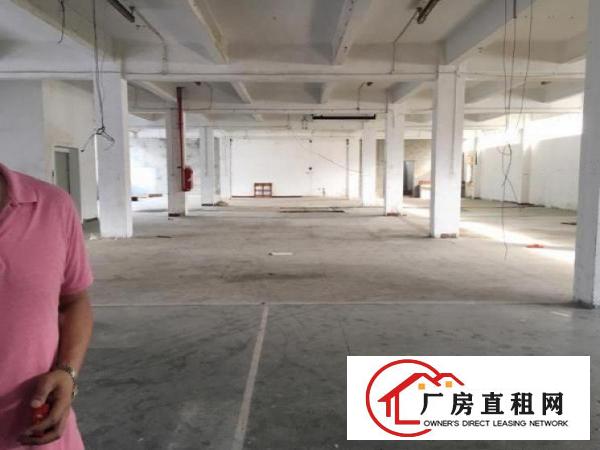  桥头新空出原房东一楼仓库1000平带卸货平台厂房出租