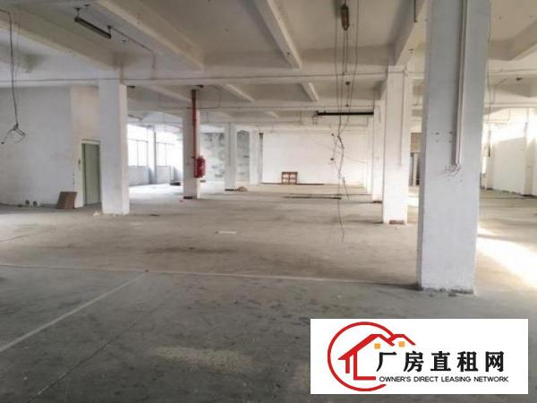  桥头新空出原房东一楼仓库1000平带卸货平台厂房出租