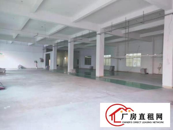  桥头李屋主干道边上原房东独院厂房4500平米出租，大小分租