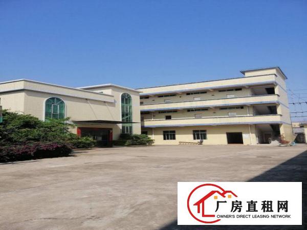  东莞市桥头镇华夏工独院原房东墙到顶单一层，带精装修办公楼