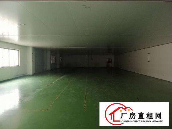  东莞市桥头镇华夏工独院原房东墙到顶单一层，带精装修办公楼