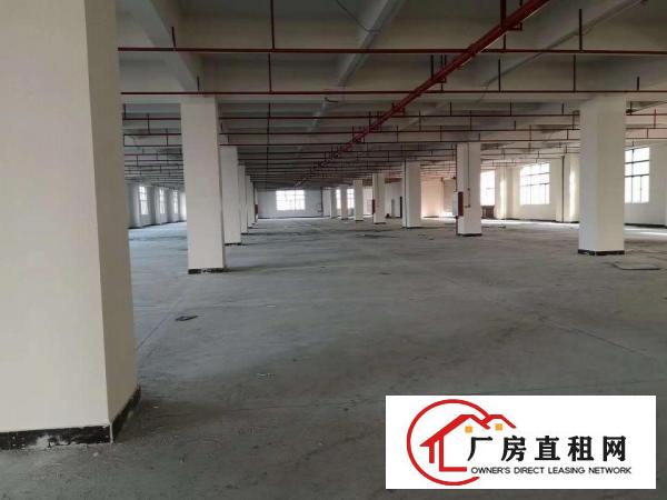  东莞桥头镇新出原房东带消防标准厂房2300平方出租