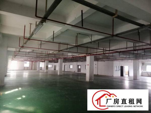  桥头镇石水口工业区内原房东标准厂房，可分租，工业用地可办环评