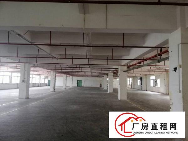  桥头镇石水口工业区内原房东标准厂房，可分租，工业用地可办环评