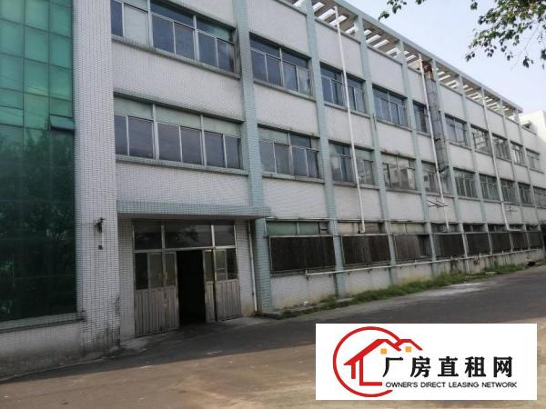  桥头镇石水口工业区内原房东标准厂房，可分租，工业用地可办环评