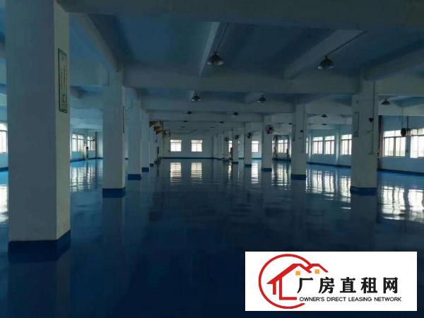  东莞桥头镇独门独院带地坪漆标准厂房7800平方出租