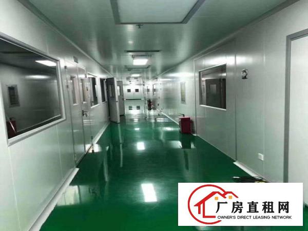  桥头镇新出万级无尘车间750方出租，面积实在，水电齐全！