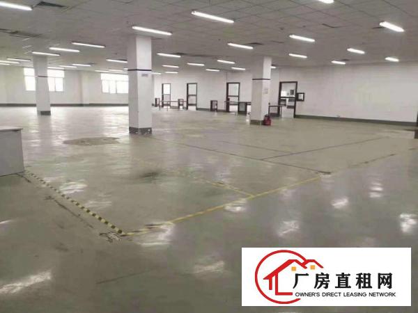  新出二三楼厂房2400平方，每层1200，可分租，豪华装修！