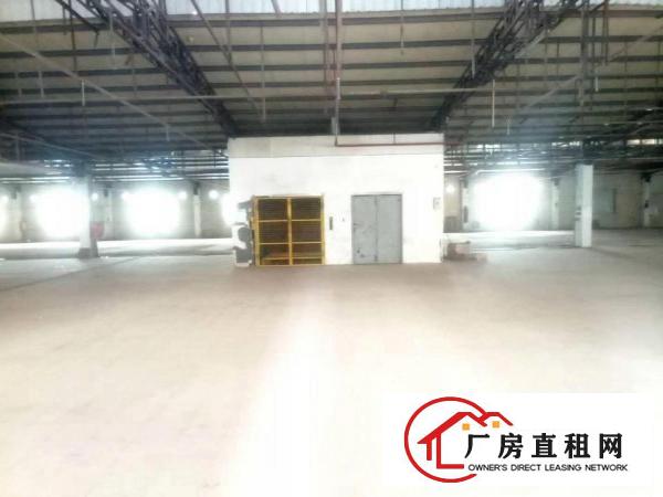  桥头原房东厂房给钱就租.做物流仓库合适