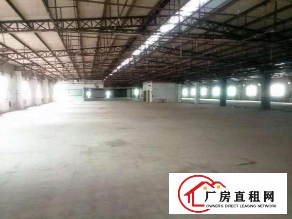  桥头原房东厂房给钱就租.做物流仓库合适