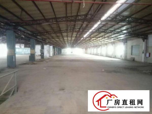  桥头原房东厂房给钱就租.做物流仓库合适