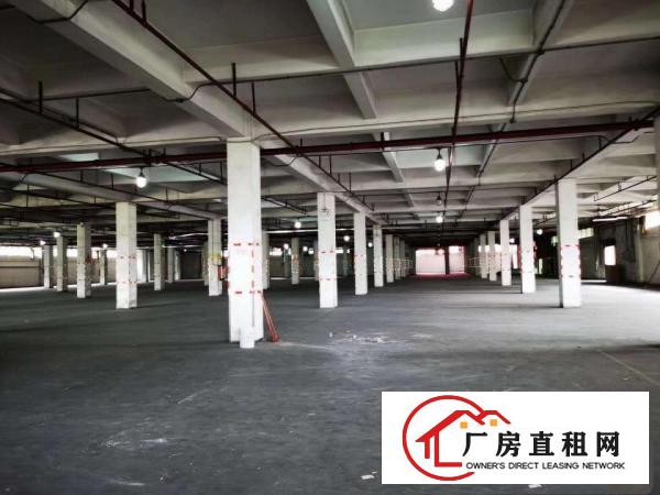  新出独门独院厂房4200平方出租，带办公室和宿舍！