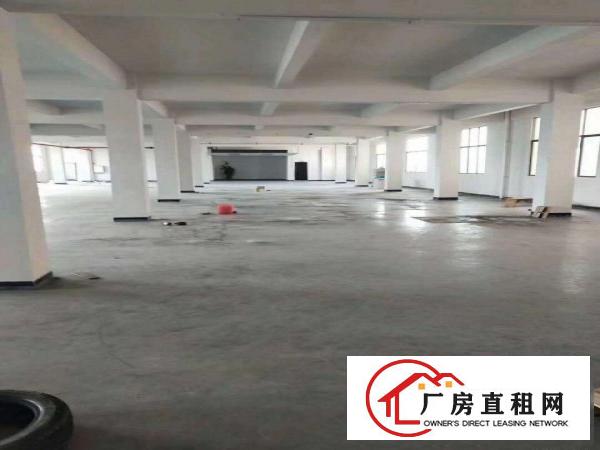  超靓厂房二楼出租1300平方，现成办公楼！
